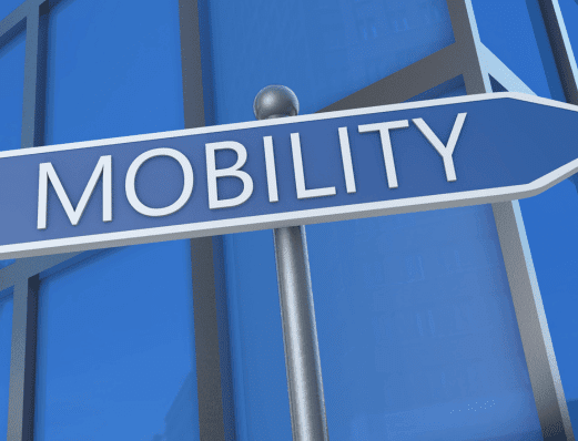 Mobility Issues